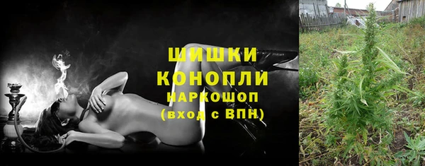 дживик Липки