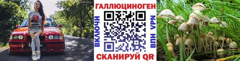 Псилоцибиновые грибы Magic Shrooms  Кремёнки 